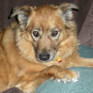 Meet your Posher, Beth